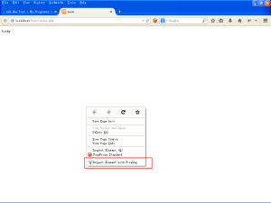 firebug-option